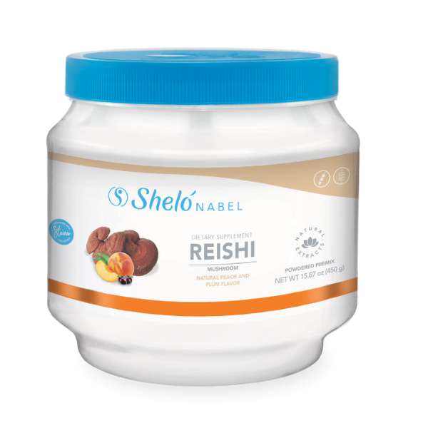 Reishi Shelo Nabel hongo ganoderma
